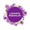 Glade Banyo Lavanta Ferahlığı Hava Tazeleyici 10 mL & Otomatik Sprey Cihazı